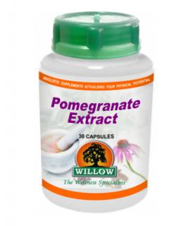 Willow Pomegranate Extract 30 capsules