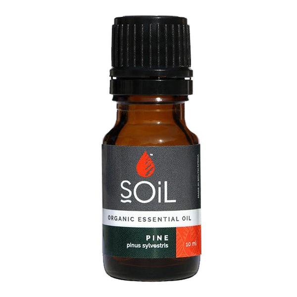 Soil - Pine Essential Oil